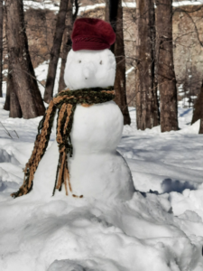 OLAF - Snowman in Solang Valley