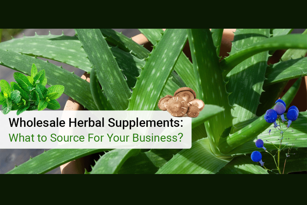 Top 10 Wholesale Organic Herbs